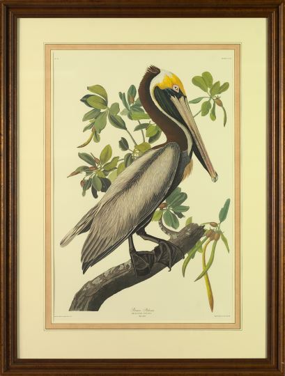 After John James Audubon (American,