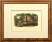 After John James Audubon (Amer