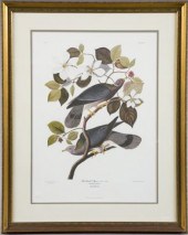 After John James Audubon (Amer