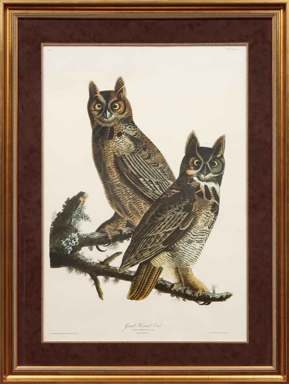 AFTER JOHN JAMES AUDUBON (AMERICAN,