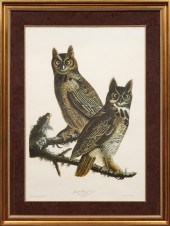 AFTER JOHN JAMES AUDUBON (AMER