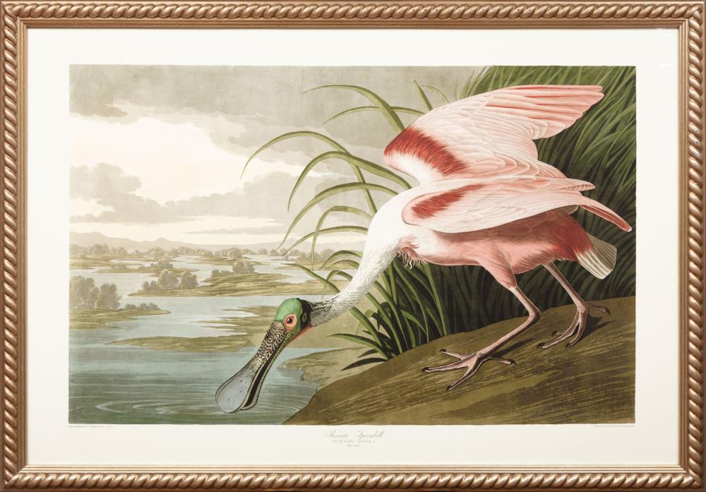 AFTER JOHN JAMES AUDUBON (AMERICAN,