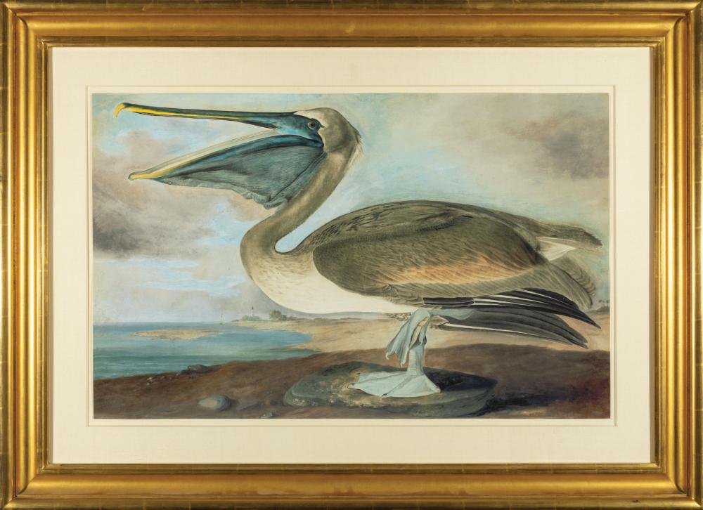 AFTER JOHN JAMES AUDUBON (AMERICAN,