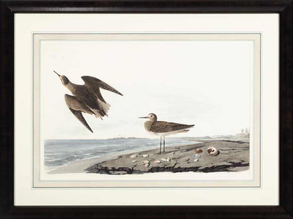 AFTER JOHN JAMES AUDUBON (AMERICAN,