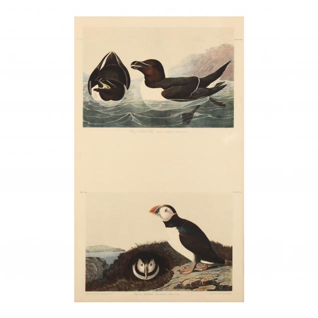 AFTER JOHN JAMES AUDUBON (AMERICAN,