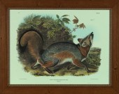 After John James Audubon (Amer