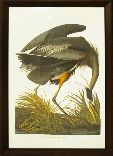 After John James Audubon (American,