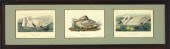 After John James Audubon (Amer