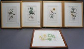 AFTER JOHN JAMES AUDUBON, INCL