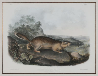 After John James Audubon (New York,