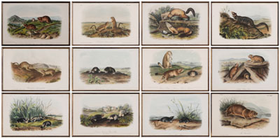 After John James Audubon (New York,