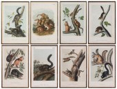 After John James Audubon (New