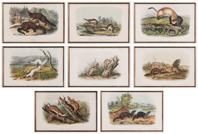 After John James Audubon (New York,