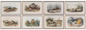 After John James Audubon (New