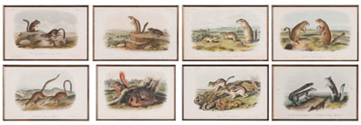 After John James Audubon (New York,