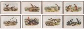 After John James Audubon (New