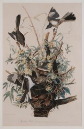 After John James Audubon (New