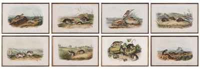 After John James Audubon (New York,