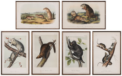 After John James Audubon (New York,