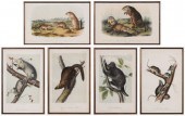 After John James Audubon (New