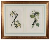 After John James Audubon (New