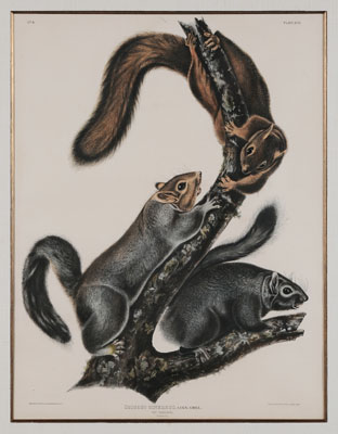 After John James Audubon (New York,