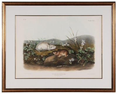 After John James Audubon (New York,