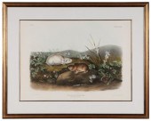 After John James Audubon (New
