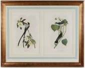 After John James Audubon (New