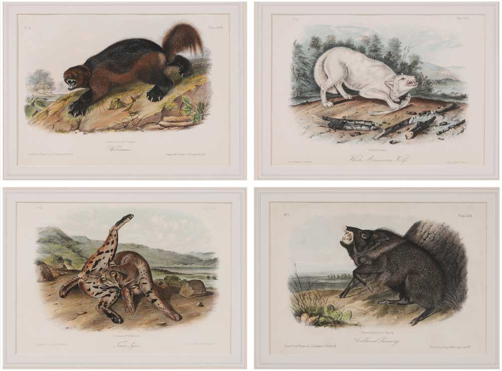 After John James Audubon (New York,