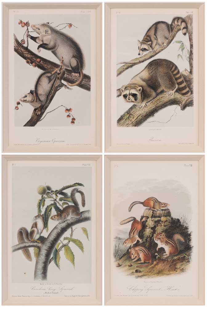 After John James Audubon (New York,