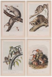 After John James Audubon (New