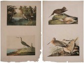 After John James Audubon (New