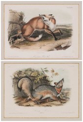 After John James Audubon (New