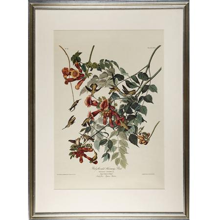 After John James Audubon