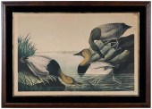 AFTER JOHN JAMES AUDUBON(New Y