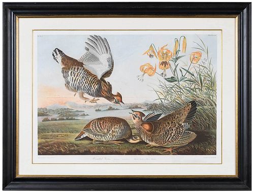 AFTER JOHN JAMES AUDUBON(New