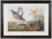 AFTER JOHN JAMES AUDUBON(New Y