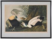 AFTER JOHN JAMES AUDUBON(New Y