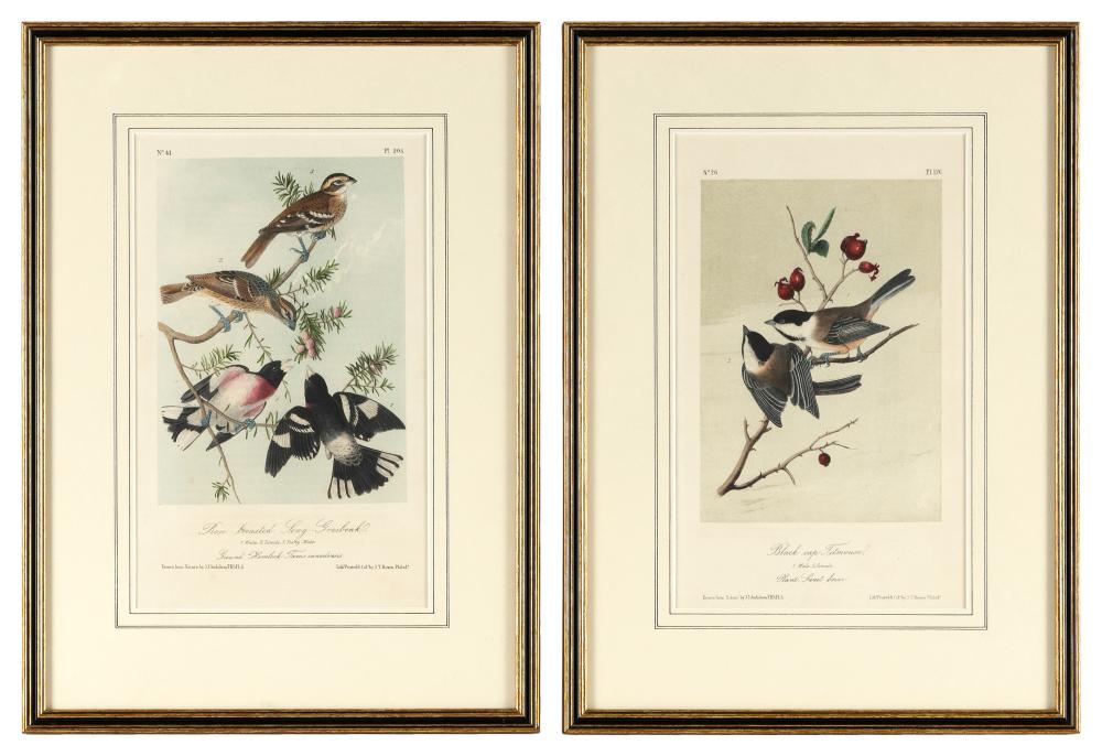 AFTER JOHN JAMES LAFOREST AUDUBON