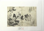 AFTER KANO MOTONOBU (1476-1559
