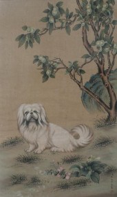 AFTER LANG SHI NING GIUSEPPE C