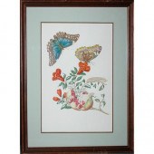 After Maria Sybilla Merian [BU