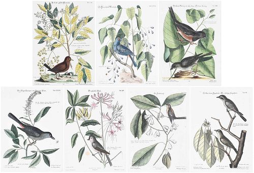 AFTER MARK CATESBY(British,
