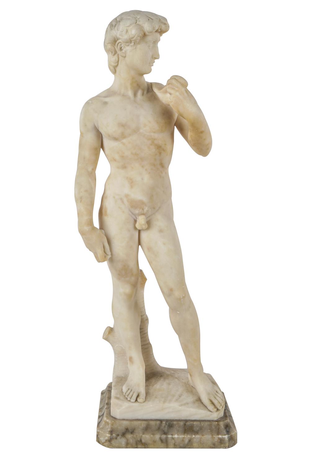 AFTER MICHELANGELO: DAVIDcarved