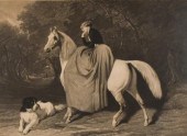 AFTER PIERRE ALFRED DE DREUX M