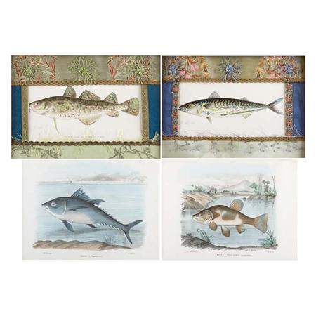 After Raimondo Petraroja [FISH