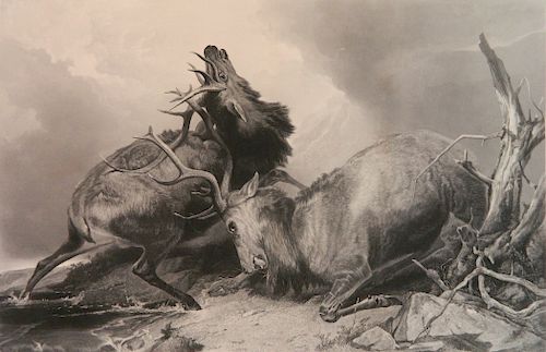 AFTER RICHARD ANSDELL