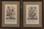 AFTER ROBERT FURBER, BRITISH 1