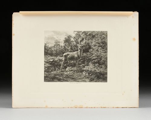 AFTER ROSA BONHEUR (FRENCH